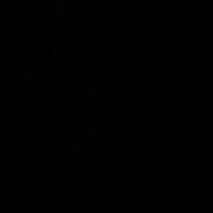 Meet your Posher, Lou